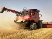 الأمم المتحدة: تصدير 32 مليون طن حبوب من أوكرانيا إلى 45 دولة