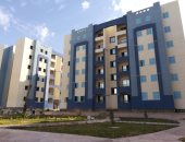 Saudi Arabia: We seek Egypt to be the first and largest strategic partner for us within 5 years