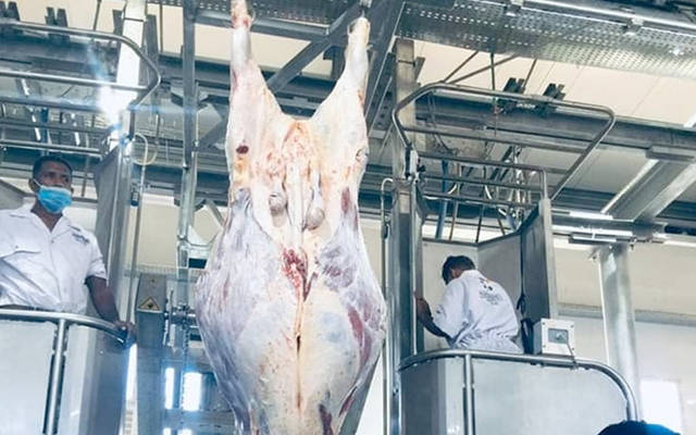 وزير مصري: الانتهاء من المرحلة الأولى لتطوير المجازر بتكلفة 1.5 مليار جنيه
